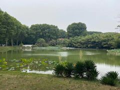 -河南省黄河迎宾馆