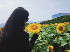 -君乐宝优致牧场