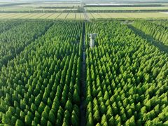 -黄海国家森林公园