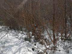 -秦岭风景区