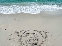 -玫瑰海岸文化旅游度假区