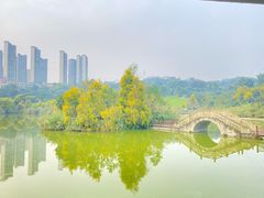 -张坝桂圆林公园