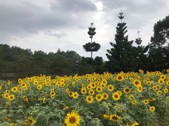 -福建鲤鱼洲酒店