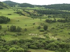 -塞罕坝国家级自然保护区