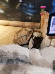 -酷嗒动物文化乐园(cutezoo西溪乐天城店)