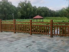 -潇湘甲鱼村(清河店)