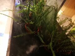 -玲珑时光保健会所(天河南路店)