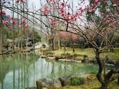 -兰亭风景区