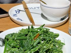 木姜子拌丝瓜尖-一坐一忘云南菜(三里屯店)
