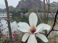-星湖旅游景区七星岩