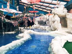 -中铁花水湾四季温泉谷