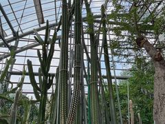 -南山植物园