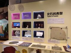 -正佳自然科学博物馆