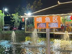 -一煲鸽