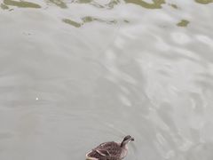 -海珠湖公园