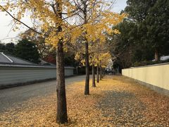 -京都御所
