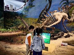 -自贡恐龙博物馆