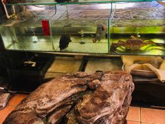 水产区-御膳粥·牛乳粥底火锅·地道顺德菜(容桂店)