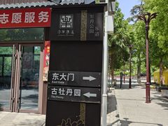-洛阳市牡丹公园