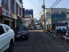 -西归浦每天偶来市场