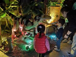 -恐龙探索乐园(磁器口店)