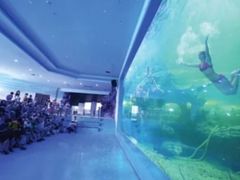 -多彩贵州城极地海洋世界