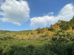 -九龙潭景区