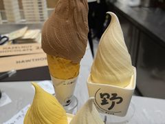 -野人先生现做冰淇淋(贵阳万象汇店)