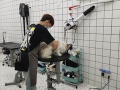 -BABIT巴比特宠物(MOMOPARK店)