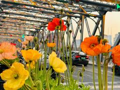 -上海市外滩历史纪念馆