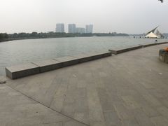 -暨阳湖生态园