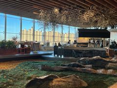-Seesaw Coffee(朝阳大悦城店)