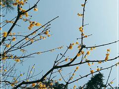-月坛公园