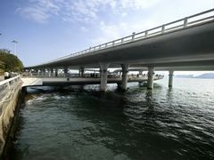 -演武大桥观景平台