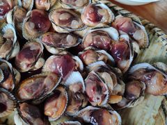 毛蚶-临风海鲜餐厅