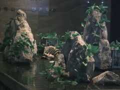 -三谷里·生态水疗空间(五一店)