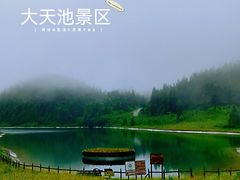 -武陵山森林公园