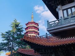 -高旻寺