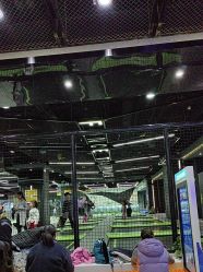 -反弹蹦床公园·亲子乐园·团建·派对(中庚漫游城店)