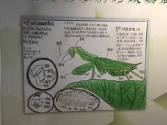 -上海昆虫博物馆