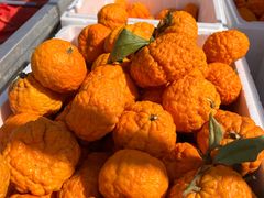 -南坛综合农贸市场