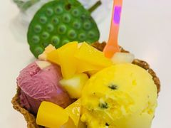 -iceason爱茜茜里·意大利健康冰淇淋(骑龙巷店)