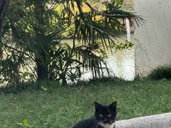 -狼山风景名胜区