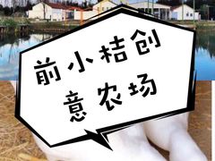 -前小桔亲子创意农场·草莓采摘·露营烧烤