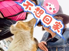 -意大利农场度假村