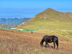 -灵山
