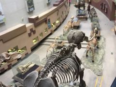 -陕西自然博物馆