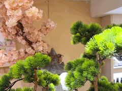-加奈日本料理