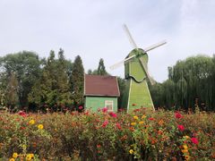 -石家庄市植物园