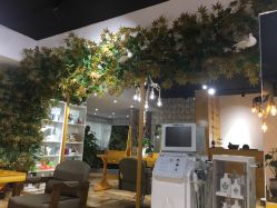 -明洞造型精品烫染